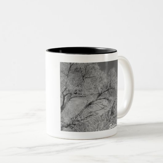 Sabino Canyon Acropolis Ridge B/W Mok (Voorkant rechts)