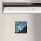 Sabino Canyon, Arizona Magneet (Insitu (Vaatwasser))