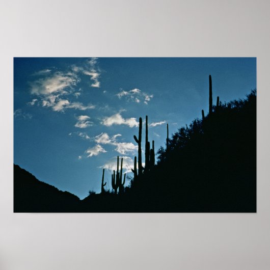 Sabino Canyon, Arizona Poster (Voorkant)