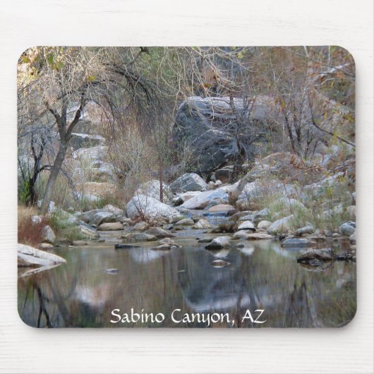 Sabino Canyon Creek - muismat (Voorkant)