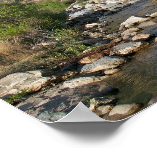 Sabino Canyon Evening Poster (Hoek)