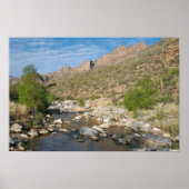 Sabino Canyon Evening Poster (Voorkant)