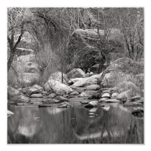Sabino Creek in de winter Foto Afdruk (Voorkant)