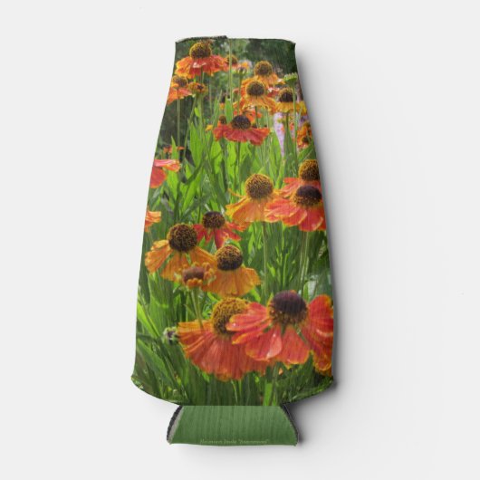 Sabin's Vroege Bloem Helenium Inula Flesjeskoeler (Voorkant)