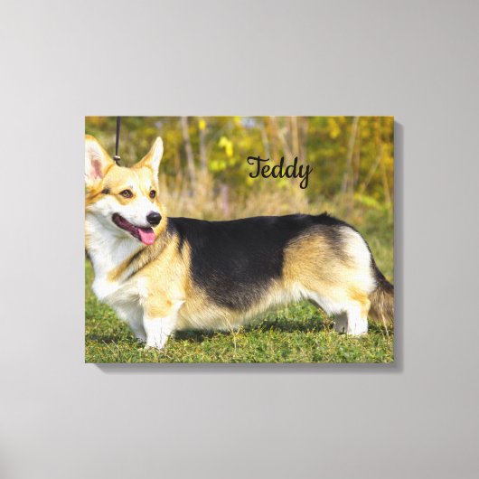 Sable Cardigan Welsh Corgi Dog Canvas Afdruk (Voorkant)