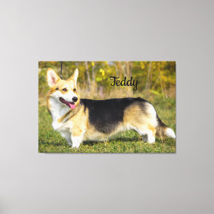 Sable Cardigan Welsh Corgi Dog Canvas Afdruk