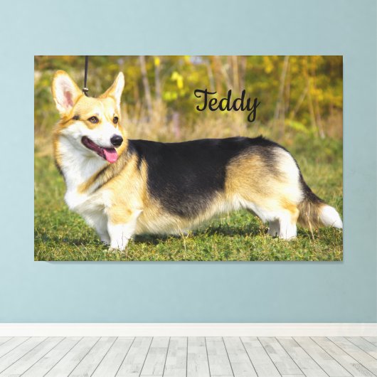 Sable Cardigan Welsh Corgi Dog Canvas Afdruk (Insitu (Houten vloer))