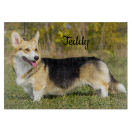 Sable Cardigan Welsh Corgi Dog Snijplank