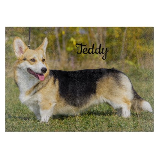 Sable Cardigan Welsh Corgi Dog Snijplank (Voorkant)