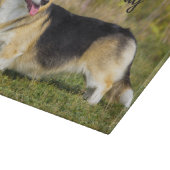 Sable Cardigan Welsh Corgi Dog Snijplank (Hoek)