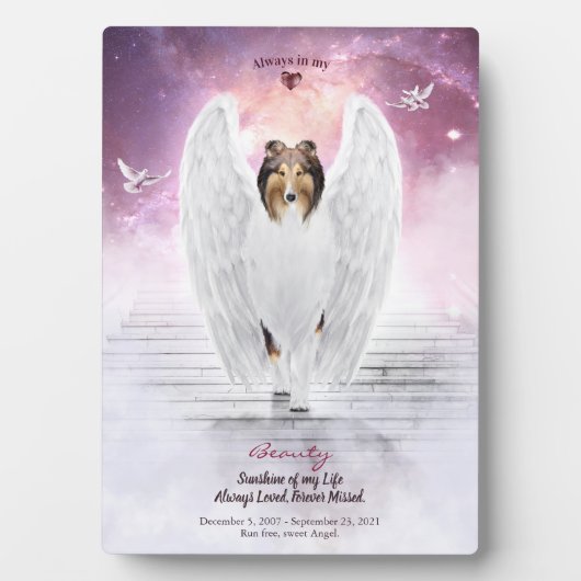 Sable Collie Angel in de hemel - Foto van Pet Memo Fotoplaat (voorkant)