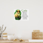 Sable Collie Gifts Poster (Keuken)