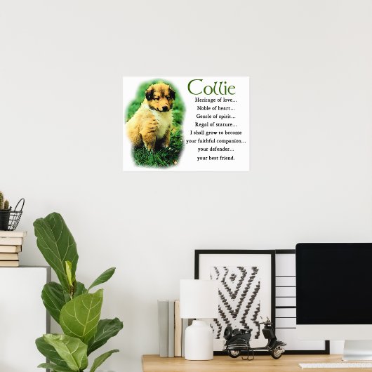 Sable Collie Gifts Poster (Thuiskantoor)