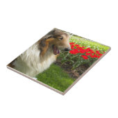 Sable Collie N the Tulips Tegel Trivet Tegeltje (Zijkant)