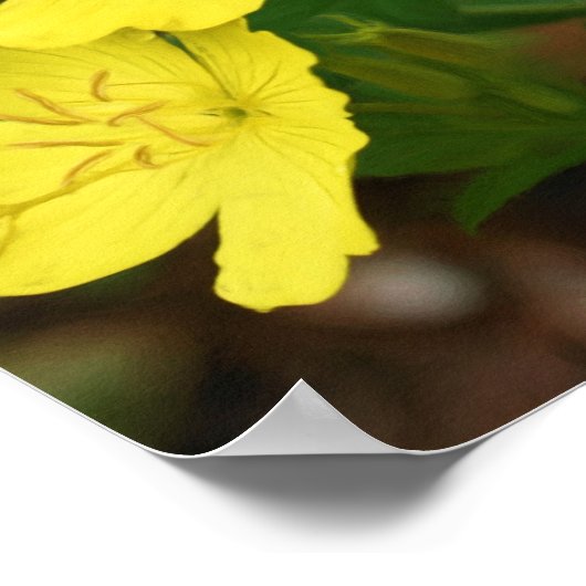 Sable Collie Yellow Primrose Dog Art Poster (Hoek)