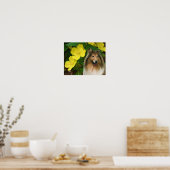 Sable Collie Yellow Primrose Dog Art Poster (Keuken)