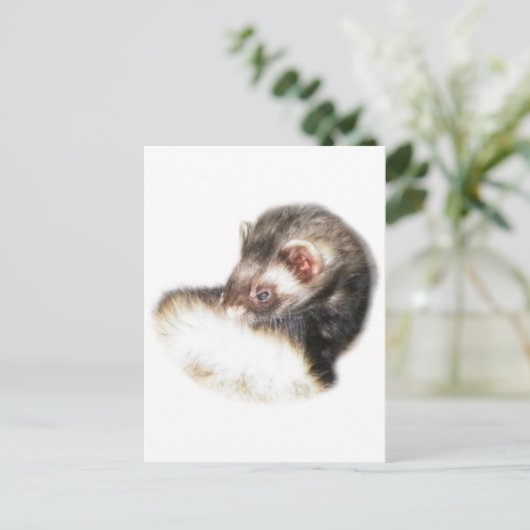 Sable Ferret Afbeelding Briefkaart (Staand voorkant)
