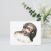 Sable Ferret Afbeelding Briefkaart (Staand voorkant)