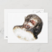 Sable Ferret Afbeelding Briefkaart (Voorkant / Achterkant)