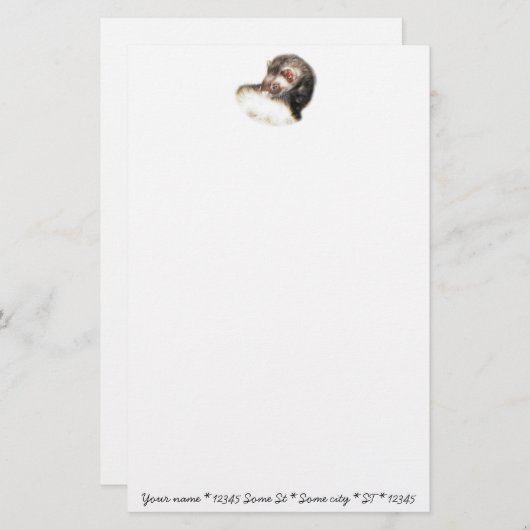 Sable Ferret Afbeelding Briefpapier (Voorkant / Achterkant)