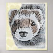 Sable Ferret Afbeelding Poster (Voorkant)