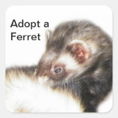 Sable Ferret Afbeelding Vierkante Sticker (Voorkant)