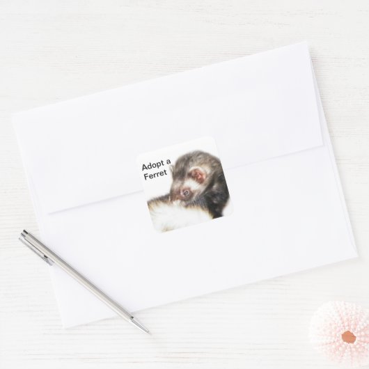 Sable Ferret Afbeelding Vierkante Sticker (Envelop)