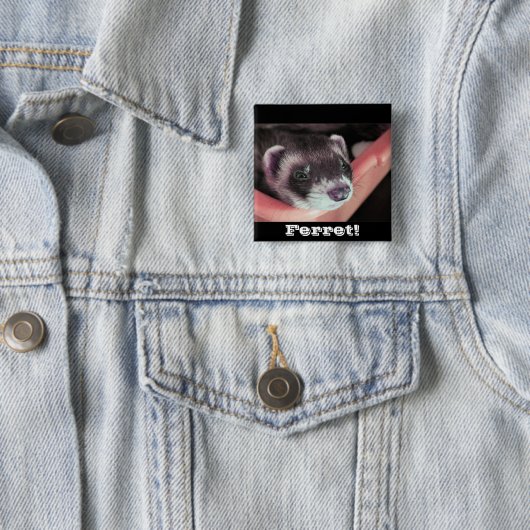 Sable Ferret Button (In situ)