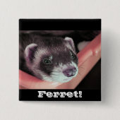 Sable Ferret Button (Voorkant)