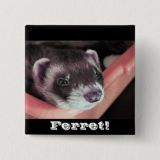 Sable Ferret Button (Voorkant)