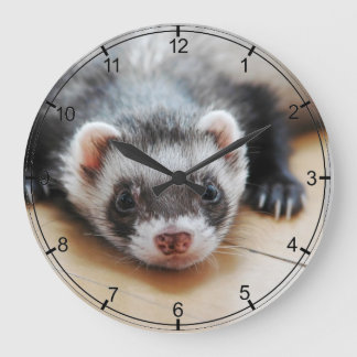 Sable Ferret Grote Klok