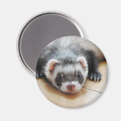 Sable Ferret Magneet (Voorkant / Achterkant)
