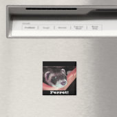 Sable Ferret Magnet (Insitu (Vaatwasser))