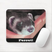Sable Ferret Mousepad Muismat (Met muis)
