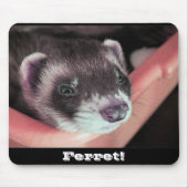 Sable Ferret Mousepad Muismat (Voorkant)