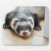 Sable Ferret Muismat (Voorkant)