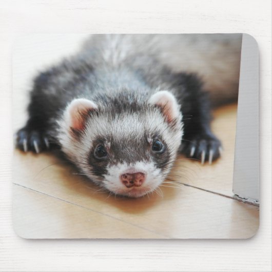 Sable Ferret Muismat (Voorkant)