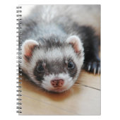 Sable Ferret Notitieboek (Voorkant)