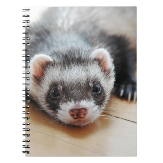 Sable Ferret Notitieboek (Voorkant)