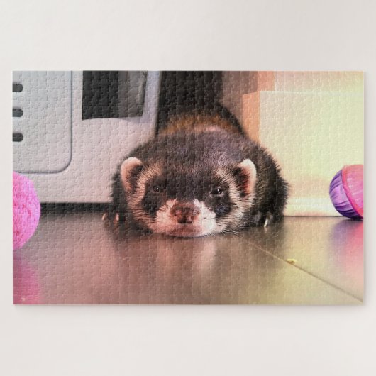 Sable Ferret Pouting Legpuzzel (Horizontaal)