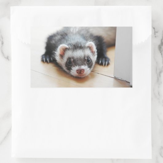 Sable Ferret Rechthoekige Sticker (Tas)