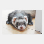 Sable Ferret Rechthoekige Sticker (Voorkant)