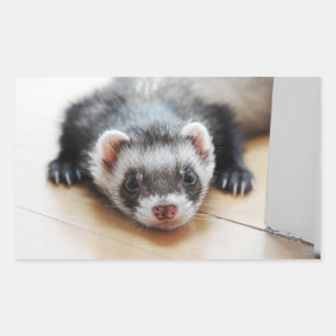 Sable Ferret Rechthoekige Sticker