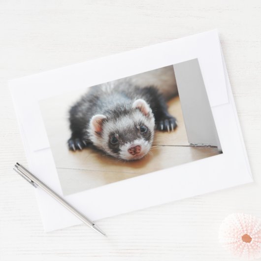 Sable Ferret Rechthoekige Sticker (Envelop)