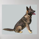 Sable German Shepherd Dog Poster (Voorkant)