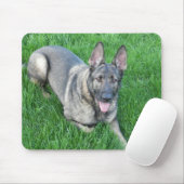 Sable German Shepherd Muismat (Met muis)