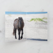 Sable Island Hengst's profiel - Wenskaart Bedankkaart (Binnen)