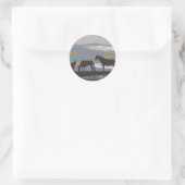 Sable Island Horse Ronde Sticker (Tas)