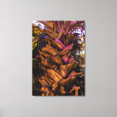 Sable Palm Trunk Canvas Afdruk (Voorkant)
