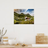 Sable Rough Collie and Lamb herding Sheep - Poster (Keuken)